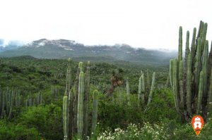 ▷El Geoparque Mundial Comarca Minera