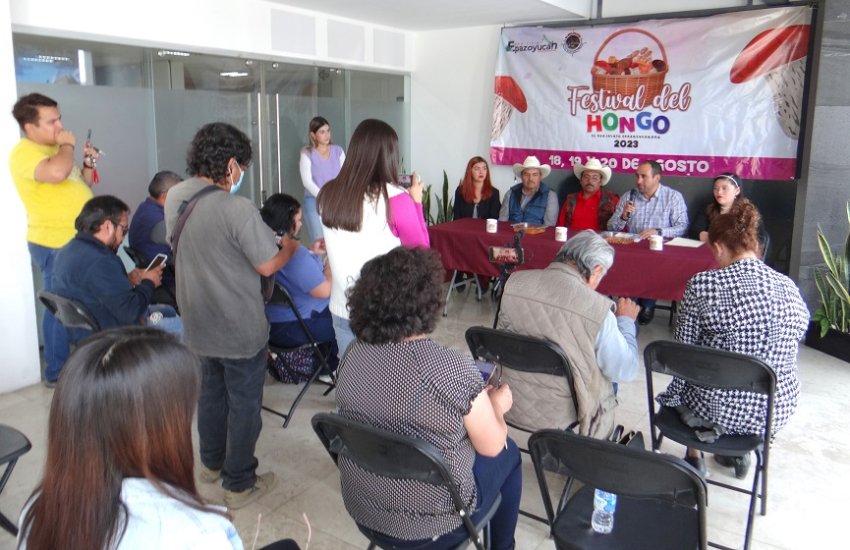 Festival del Hongo en Epazoyucan