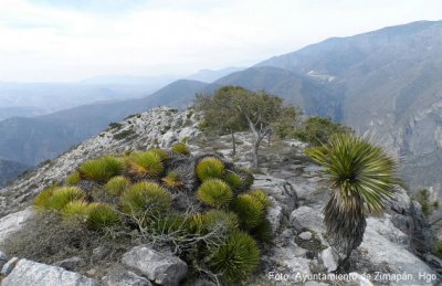 ▷Parque Nacional Los Mármoles en Zimapán, Hidalgo