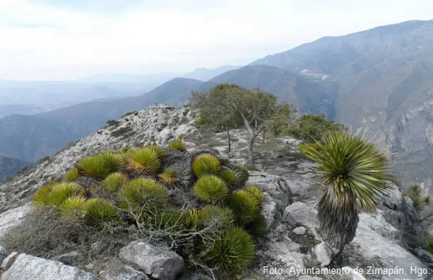 ▷Parque Nacional Los Mármoles en Zimapán, Hidalgo