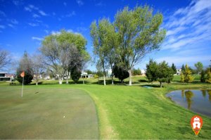 ▷Pachuca Cuna del Deporte